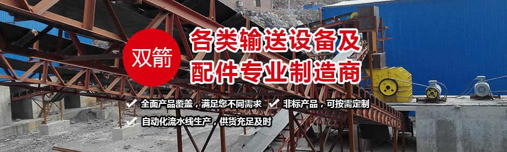雙箭專業(yè)生產(chǎn)各類輸送設備及配件專業(yè)制造商